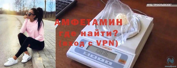 ПСИЛОЦИБИНОВЫЕ ГРИБЫ Киренск