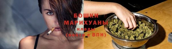 ПСИЛОЦИБИНОВЫЕ ГРИБЫ Киренск