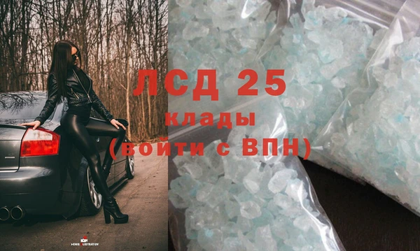 ПСИЛОЦИБИНОВЫЕ ГРИБЫ Киренск
