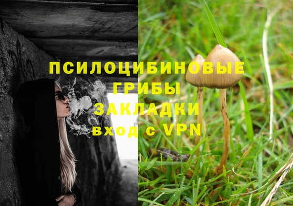 прущие крисы Киреевск