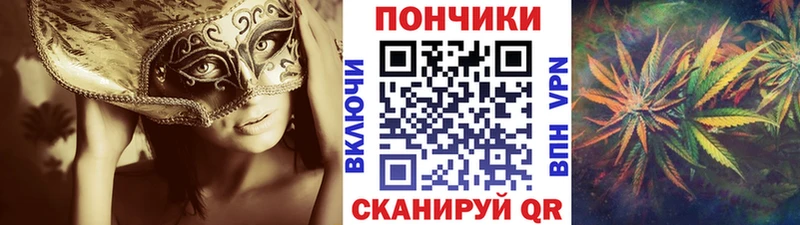 Бошки Шишки семена Динская